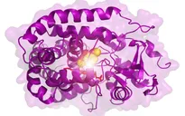 Enzyme biến rác thực vật thành nhựa