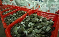 EVFTA mở ra cơ hội “vàng” cho xuất khẩu thủy sản Việt Nam