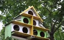 Chi tiền tỷ làm vườn thú cho con