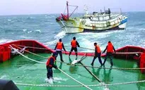 Tìm kiếm cứu nạn vụ lật tàu trên biển Hải Phòng