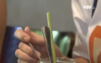 Hàng quán, người tiêu dùng hưởng ứng "sống xanh", bảo vệ môi trường