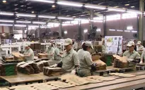 Chỉ số Nhà quản trị mua hàng PMI của Việt Nam tháng 5 giảm nhẹ