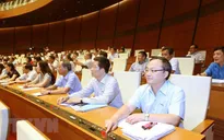 Quốc hội sẽ giám sát việc phòng chống xâm hại trẻ em