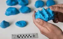 Cá sấu cổ đại là động vật ăn chay