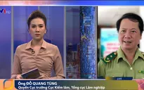 Người dân vô ý hoặc cố tình gây ra các vụ cháy rừng sẽ bị xử lý như thế nào?