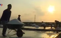 Khám phá vẻ đẹp cánh đồng muối Hòn Khói, tỉnh Khánh Hòa