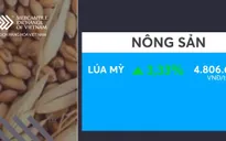 Giá lúa mì kỳ hạn tháng 7/2019 tăng 3,33%