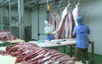 Hà Nội kiểm soát cơ sở giết mổ lợn, bình ổn giá thị trường