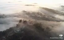 Mùa săn mây Đà Lạt