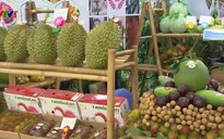 Khai mạc Hội chợ nông nghiệp và sản phẩm OCOP khu vực ĐBSCL
