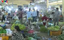 Sáng sớm ghé thăm chợ đầu mối Phú Hậu
