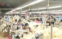 Tăng tuổi nghỉ hưu là phù hợp với xu thế phát triển của tương lai