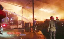 Cháy công ty gỗ tại Bình Phước gây thiệt hại khoảng 2,5 tỷ đồng