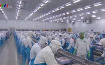 Hiệp định EVFTA và EVIPA: Cơ hội “vàng” để DN Việt bứt phá