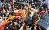 Nông dân Indonesia phát gà miễn phía vì giá thấp