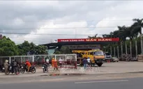Bất cẩn khi cẩu cây xanh, nam tài xế bị điện giật tử vong