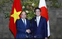Việt Nam - Nhật Bản nhất trí tiếp tục tăng cường sự tin cậy chính trị