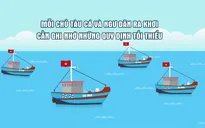 Những quy định tối thiểu mà mỗi chủ tàu cá và ngư dân cần ghi nhớ khi ra khơi