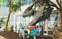 Google Dịch đã hỗ trợ dịch tiếng Việt qua camera điện thoại