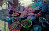ĐBSCL: Nhiều mặt hàng nông, thủy sản giảm giá mạnh