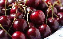 Cherry từ Mỹ nhập về Việt Nam giảm giá gần một nửa