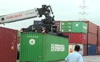 Gần 8.600 container quá hạn vẫn "chây ì" tại cảng biển