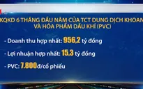 Nhiều doanh nghiệp dầu khí đạt các chỉ số ấn tượng