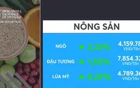 Nông sản và kim loại tăng giá
