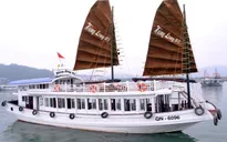 Đình chỉ hoạt động tàu du lịch trên vịnh Hạ Long do thuyền viên có hành vi không chuẩn mực