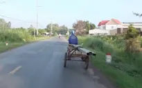 Chở hàng hóa cồng kềnh - Hiểm họa tai nạn trên đường
