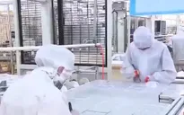 Trung Quốc: Tăng trưởng GDP quý II/2019 thấp nhất trong 3 thập kỷ