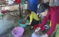 Hội An thiếu nước sạch do xâm nhập mặn