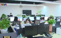 Trải nghiệm sống xanh với những kỹ sư công nghệ thông tin