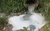 Nguyên nhân gây ô nhiễm tuyến kênh Tư Nghĩa, Quảng Ngãi