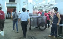 600kg thịt bị nhiễm tả lợn châu Phi được cấp giấy phép kiểm dịch theo quy định