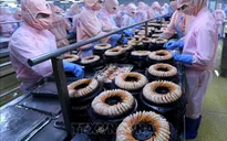ADB: Kinh tế Việt Nam tăng trưởng nhanh nhất Đông Nam Á năm 2019