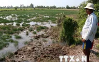 Xâm nhập mặn kỷ lục ở Trung Bộ