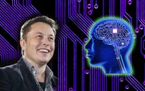 Elon Musk muốn cấy chip vào não người và kết nối với smartphone