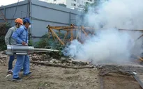 Bộ Y tế thực địa điểm nóng sốt xuất huyết