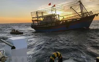 Vớt được thi thể 2 ngư dân tàu cá bị chìm ở Hải Phòng