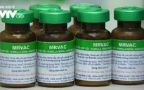 Tỷ lệ sử dụng thuốc trong nước sản xuất tăng đều ở các tuyến