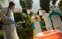 WHO tuyên bố dịch Ebola là vấn đề y tế khẩn cấp toàn cầu