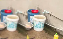 Hàng trăm hộ dân Đồng Tháp sử dụng nước máy không qua xử lý