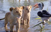 “The Lion King” được dự đoán phá kỉ lục phòng vé của Disney