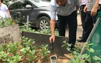 Hà Nội: Số ca mắc sốt xuất huyết tăng nhanh