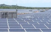 Hơn 4.460 MW điện mặt trời đã hòa lưới điện quốc gia