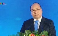 “Tỉnh Quảng Ngãi cần có chiến lược ưu tiên phát triển các ngành kinh tế một cách chọn lọc”