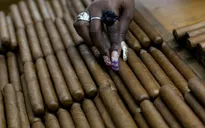 Xì gà - Một góc tâm hồn Cuba