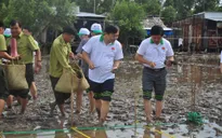 Phát động phong trào trồng rừng ngập mặn và bảo vệ bãi ven biển ở ĐBSCL