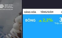 Giá bông hồi phục sau nhiều năm chạm đáy